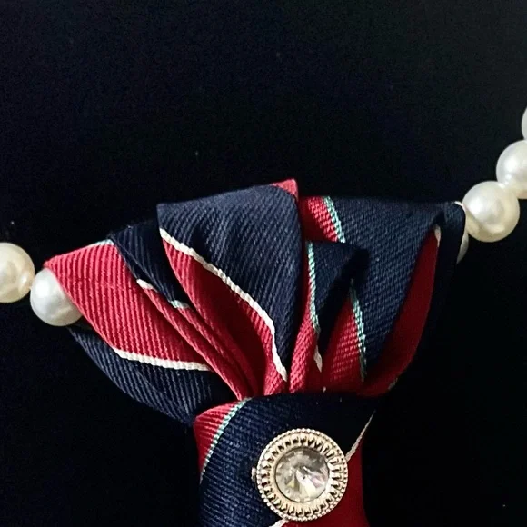 Elegant Red and Blue Striped Tie Necklace with jeweled brooch.. - Picture 3 of 3